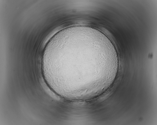 X0000111130859200907211113