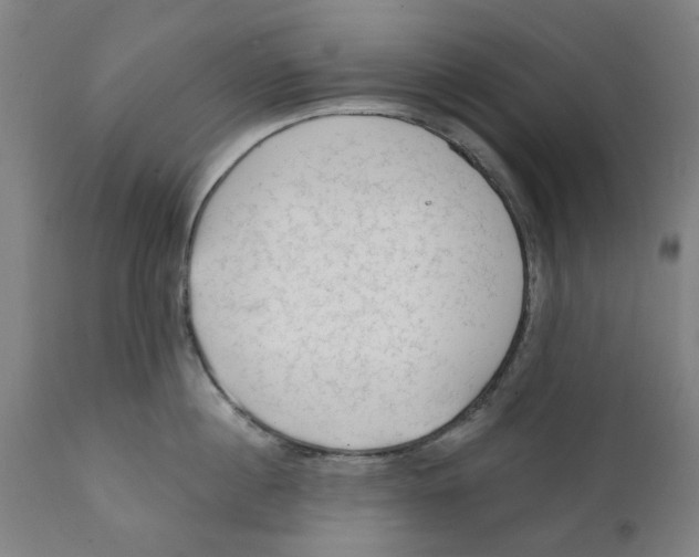 X0000111130860200907211113