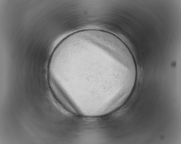 X0000111130862200907211113