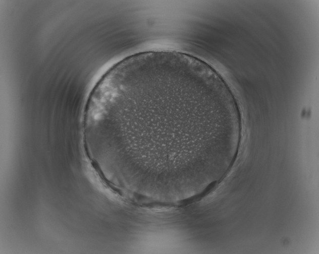 X0000111130864200907211113