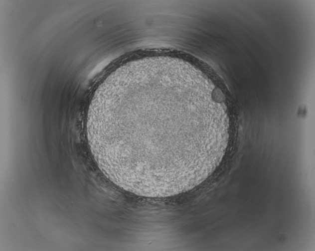 X0000111130871200907211112