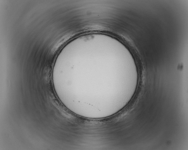 X0000111130873200907211112