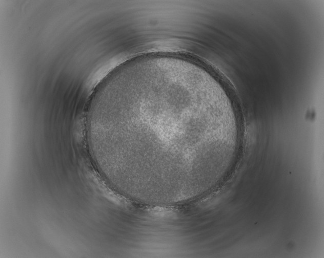 X0000111130874200907211112