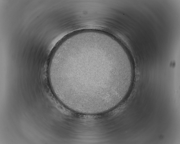 X0000111130875200907211112