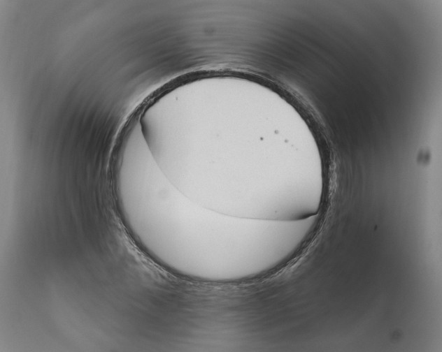 X0000111130876200907211112