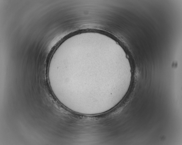 X0000111130877200907211112