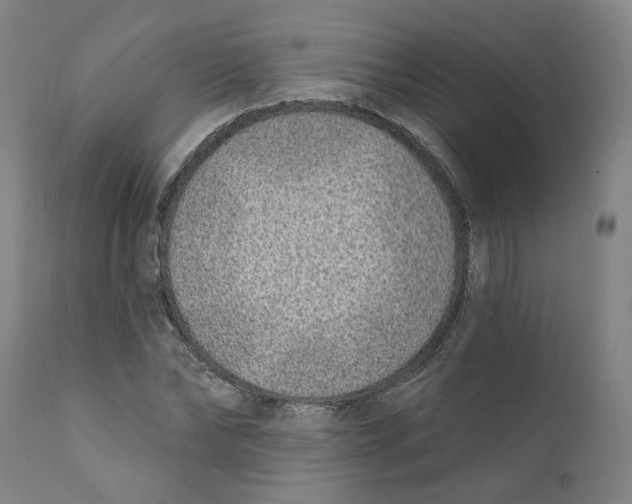 X0000111130878200907211112