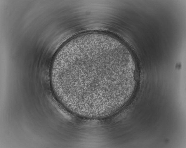 X0000111130881200907211112
