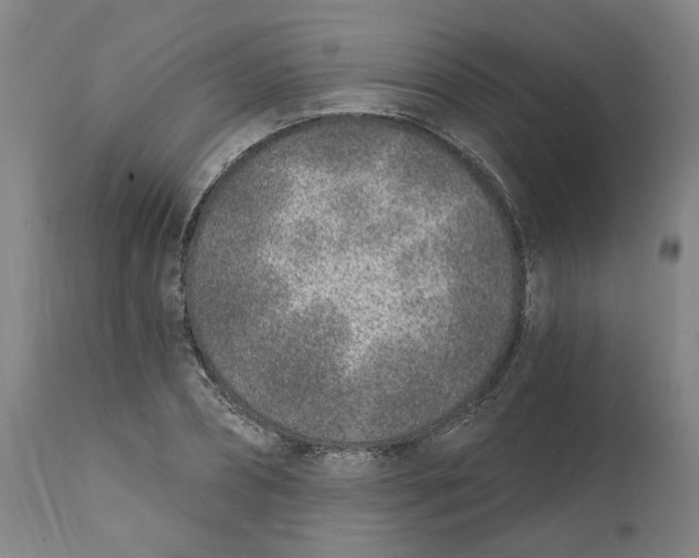 X0000111130882200907211112
