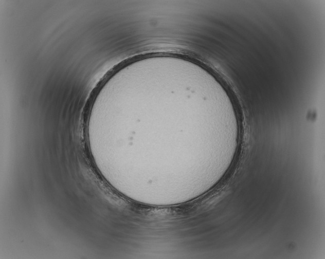X0000111130883200907211112