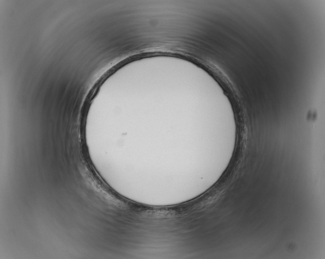 X0000111130884200907211112