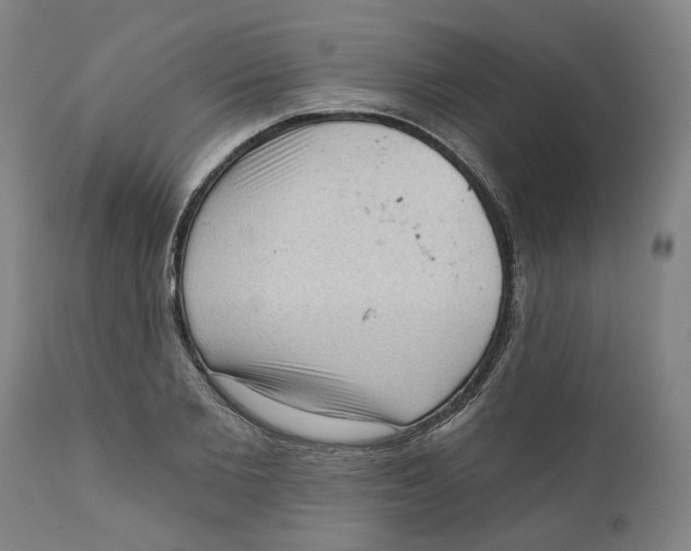X0000111130885200907211112