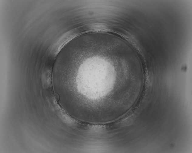 X0000111130889200907211111