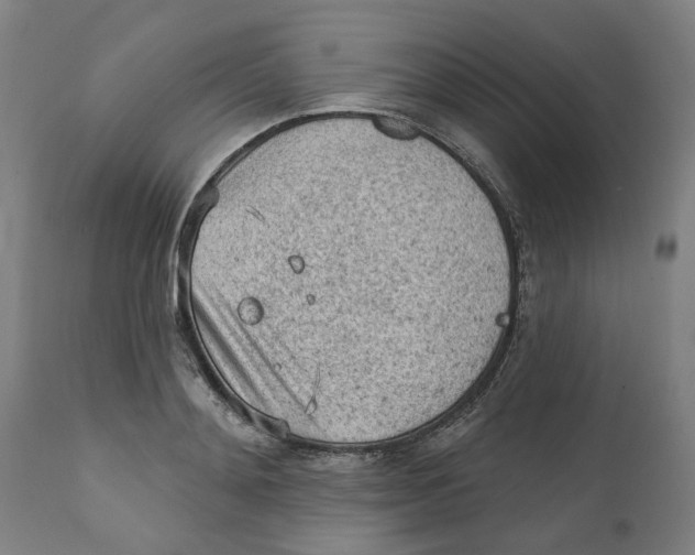 X0000111130892200907211111