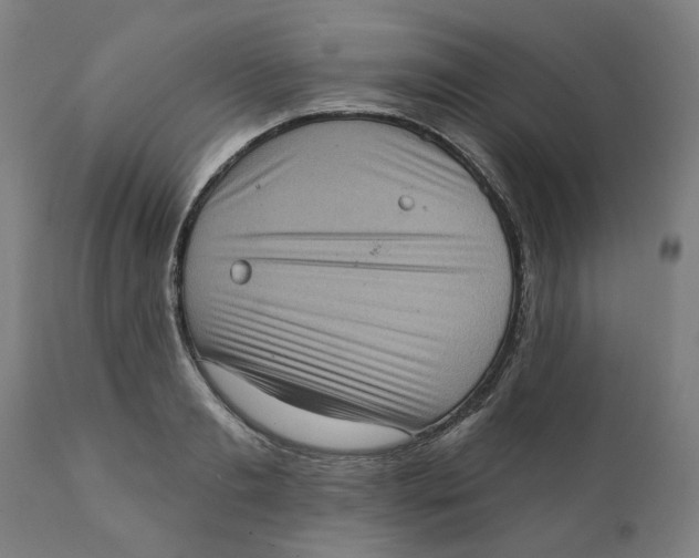 X0000111130893200907211111