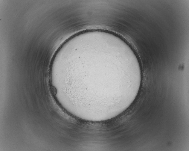 X0000111130895200907211111