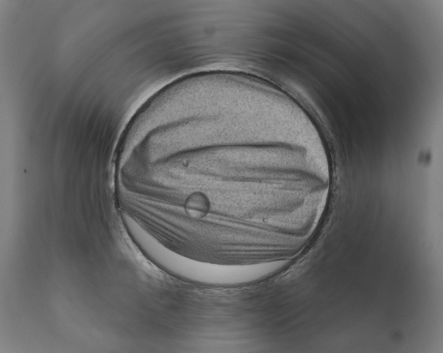 X0000111130900200907211111