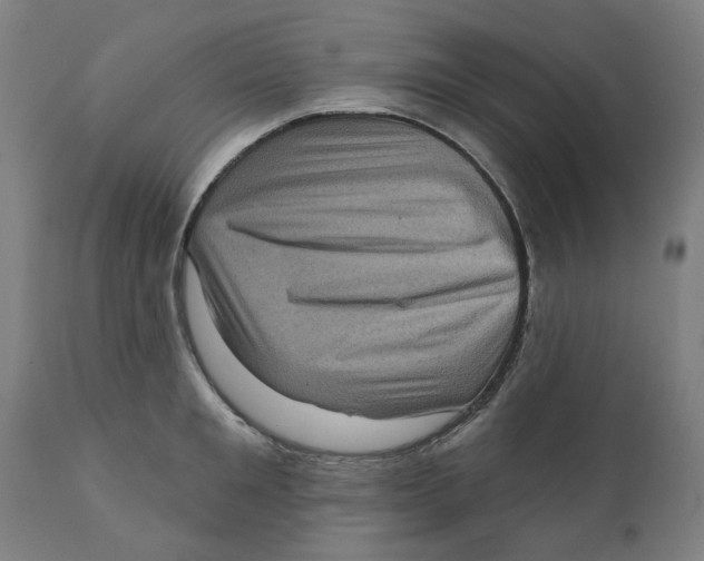 X0000111130901200907211111