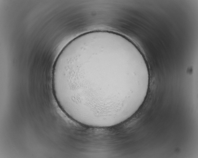 X0000111130903200907211111