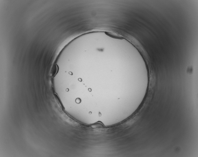 X0000111130908200907211111