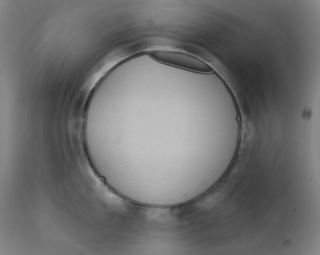 X0000111130909200907211111