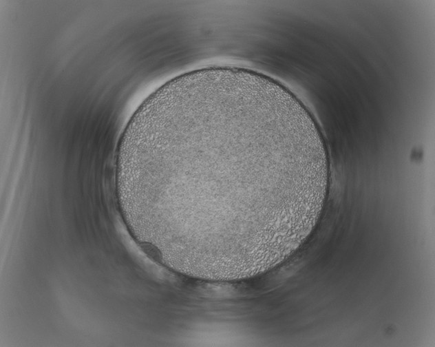 X0000111130911200907211111