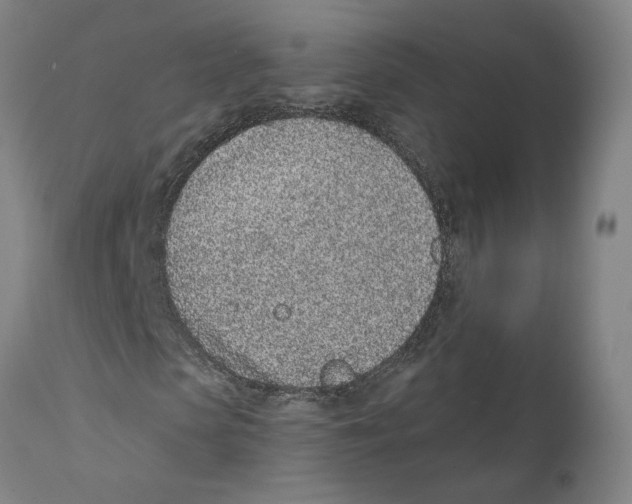 X0000111130913200907211110