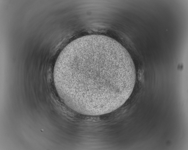 X0000111130915200907211110
