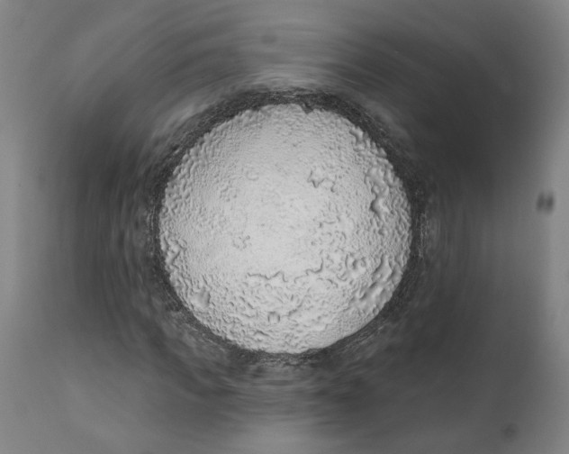 X0000111130917200907211110