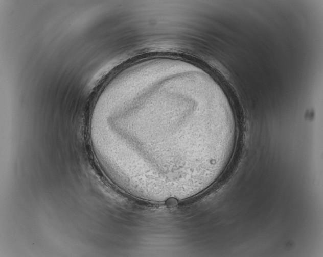 X0000111130922200907211110