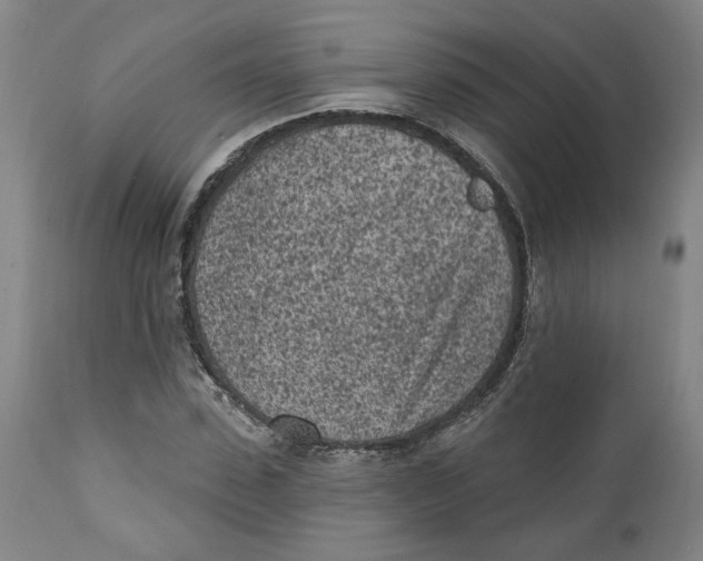 X0000111130923200907211110