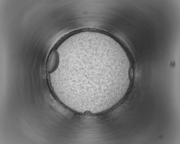 X0000111130924200907211110