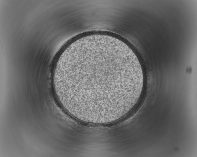 X0000111130926200907211110