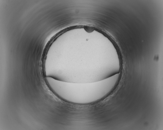 X0000111130928200907211111