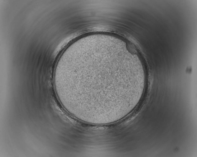 X0000111130930200907211111