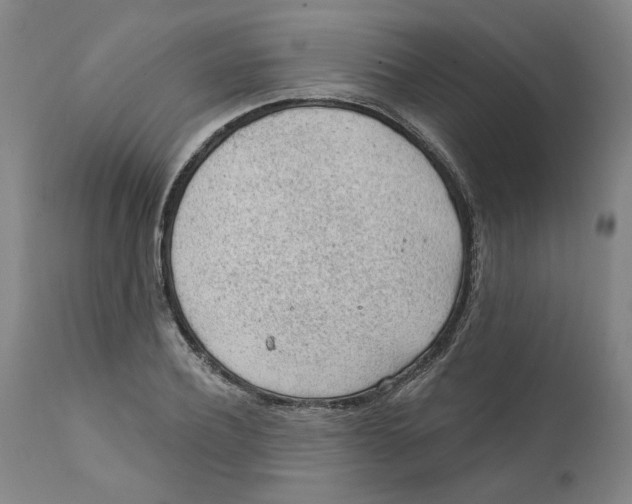 X0000111130932200907211111