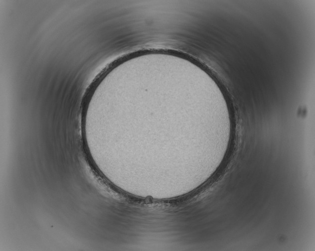 X0000111130934200907211111