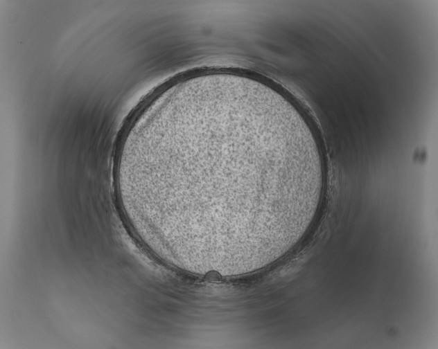 X0000111130935200907211111