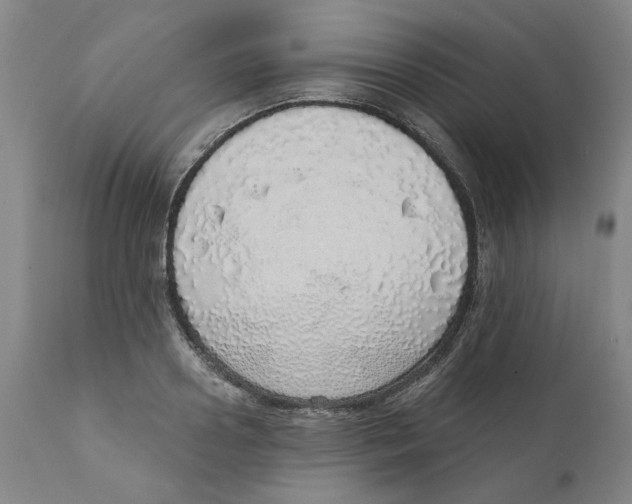 X0000111130938200907211111