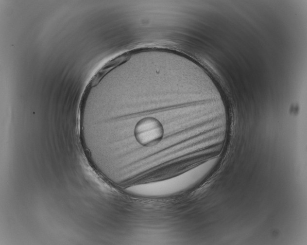 X0000111130940200907211111