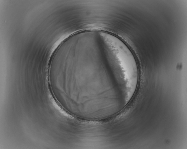 X0000111130941200907211111