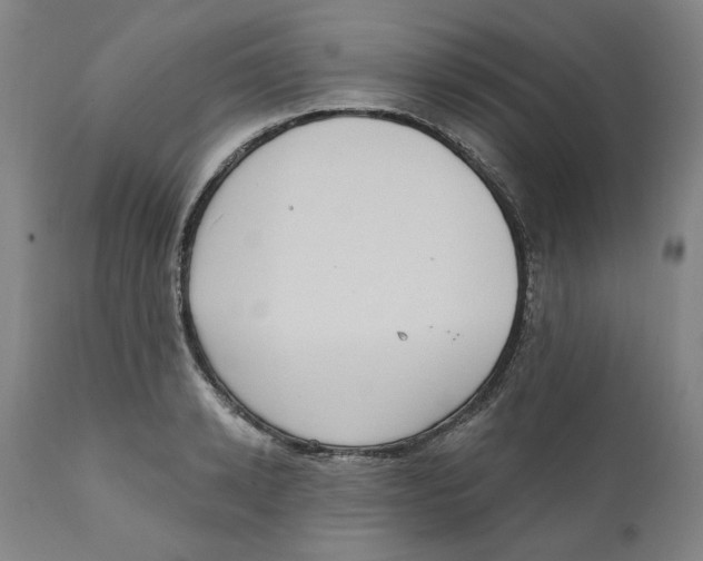 X0000111130942200907211111