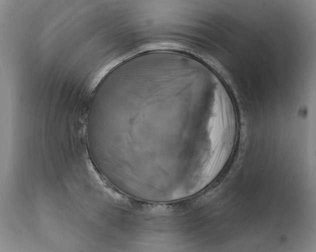 X0000111130945200907211111