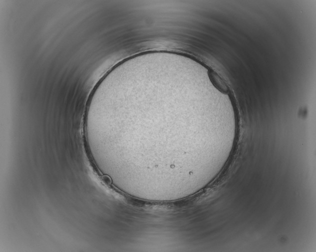 X0000111130946200907211111