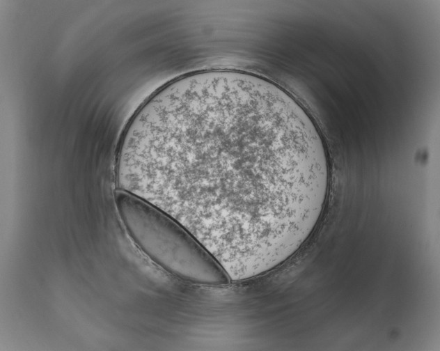 X0000111130948200907211111