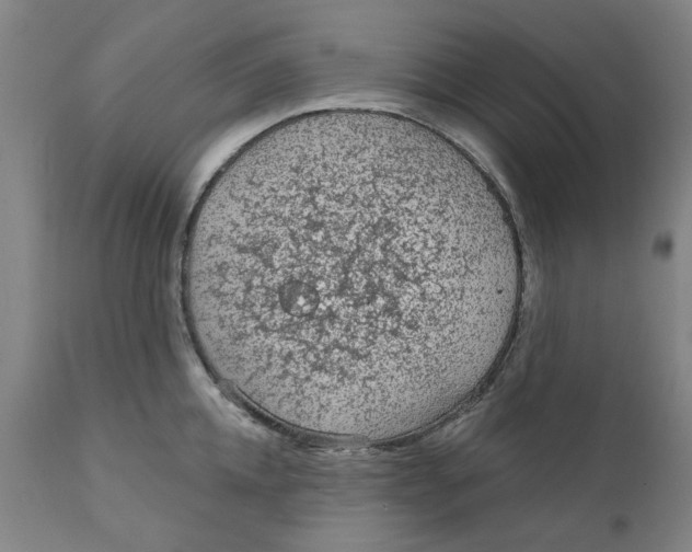 X0000111130952200907211111
