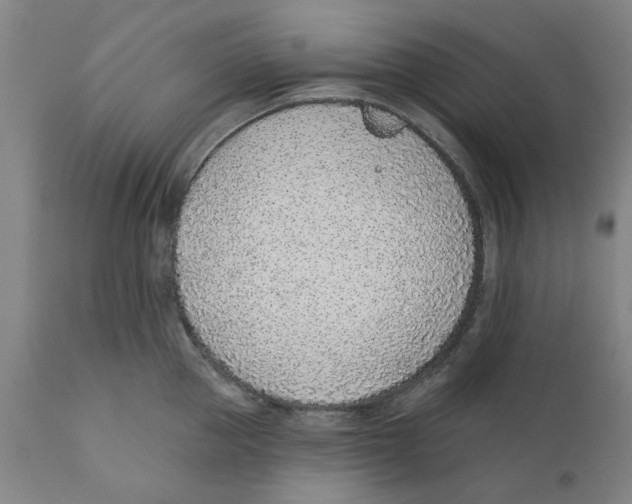 X0000111130953200907211111