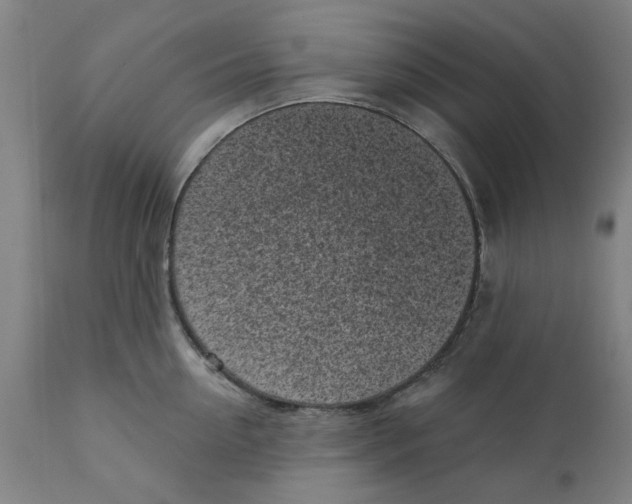 X0000111130954200907211111