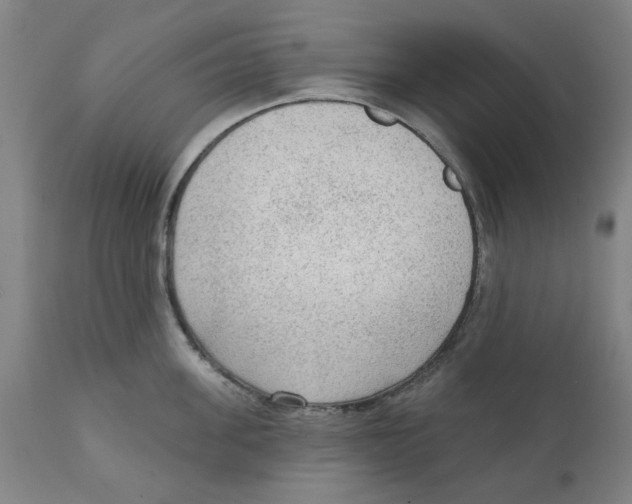 X0000111130955200907211111
