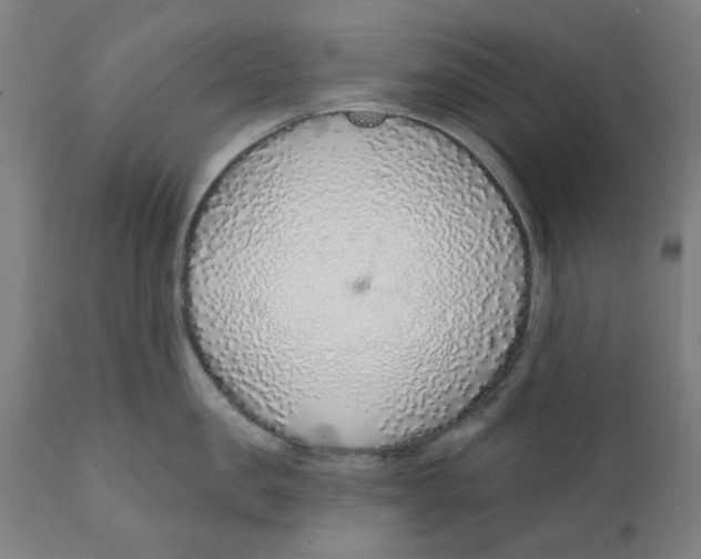X0000111130957200907211111